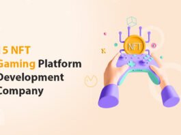 15 NFT Gaming Platform Development Company